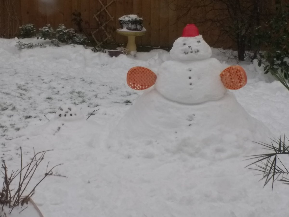 t.s.gilbert tweet media