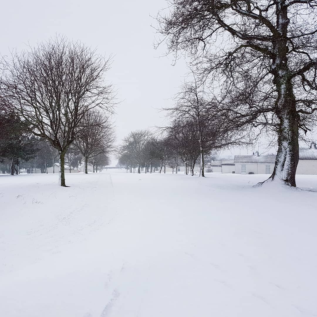 AliceAnnStacey's tweet photo. Snow day! #SafetyFirst of course, you seen those road conditions?

https://t.co/Wop5bK0qAK https://t.co/17cfIMc78B