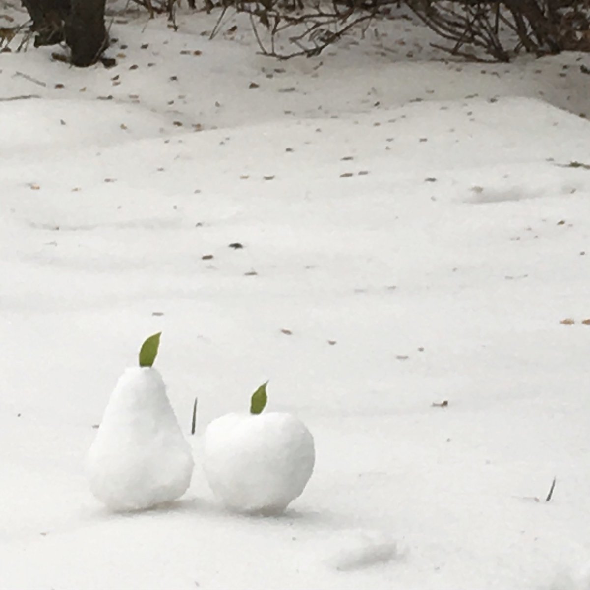Prudence_Says's tweet photo. Still snowing in Devon. We’re bored of Snowmen so now it’s snow fruit! #snowsculpture #beastfromtheast #devon https://t.co/EimfF8UPpR