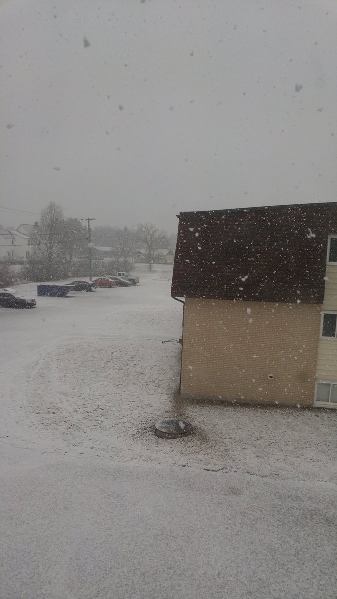 Whimzelicious's tweet image. Yesterday vs today.

#WinterVSSpring