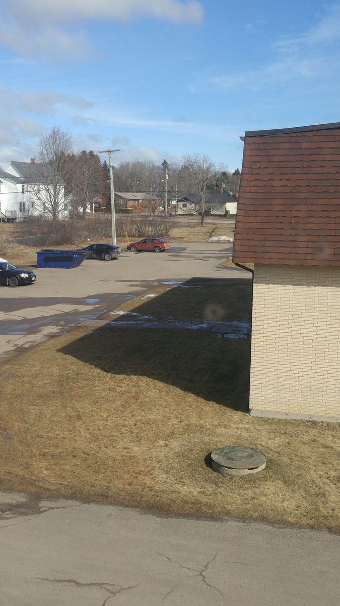 Whimzelicious's tweet image. Yesterday vs today.

#WinterVSSpring