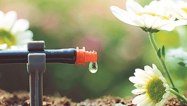 SEIASA_OFICIAL's tweet photo. 🔊Mañana en 📻 @ondaagraria @OndaCero_es nuestro Presidente hablará de #Agua 💧#regadío #Infraestructuras #Tecnologia 💻📱y de todo lo relacionado con la #Agricultura 🌾🥦🍊y el #desarrorural #DesarrolloSostenible https://t.co/Dz34Vr3ZPE