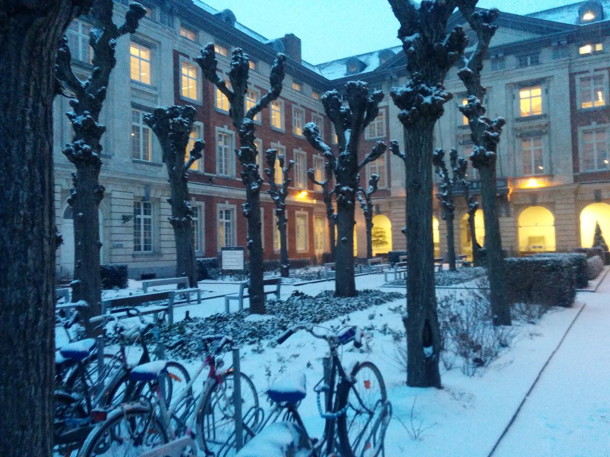 rbibkuleuven's tweet photo. Gezellig ingesneeuwd in de bib. ⛄ #rbib #valk #kuleuven https://t.co/mLKY5A08gg
