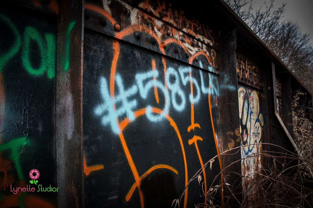 LynetteStudios's tweet photo. #585 #roc #rochesterny #iloveny #iloverochesterny #hometown #graffiti #oldrailwaybridge #trainbridge #cityart #hike #naturehike #rochesternynaturehike #natureandalittlecity #rochesternyprofessionalphotography https://t.co/EWk7x2kIUd