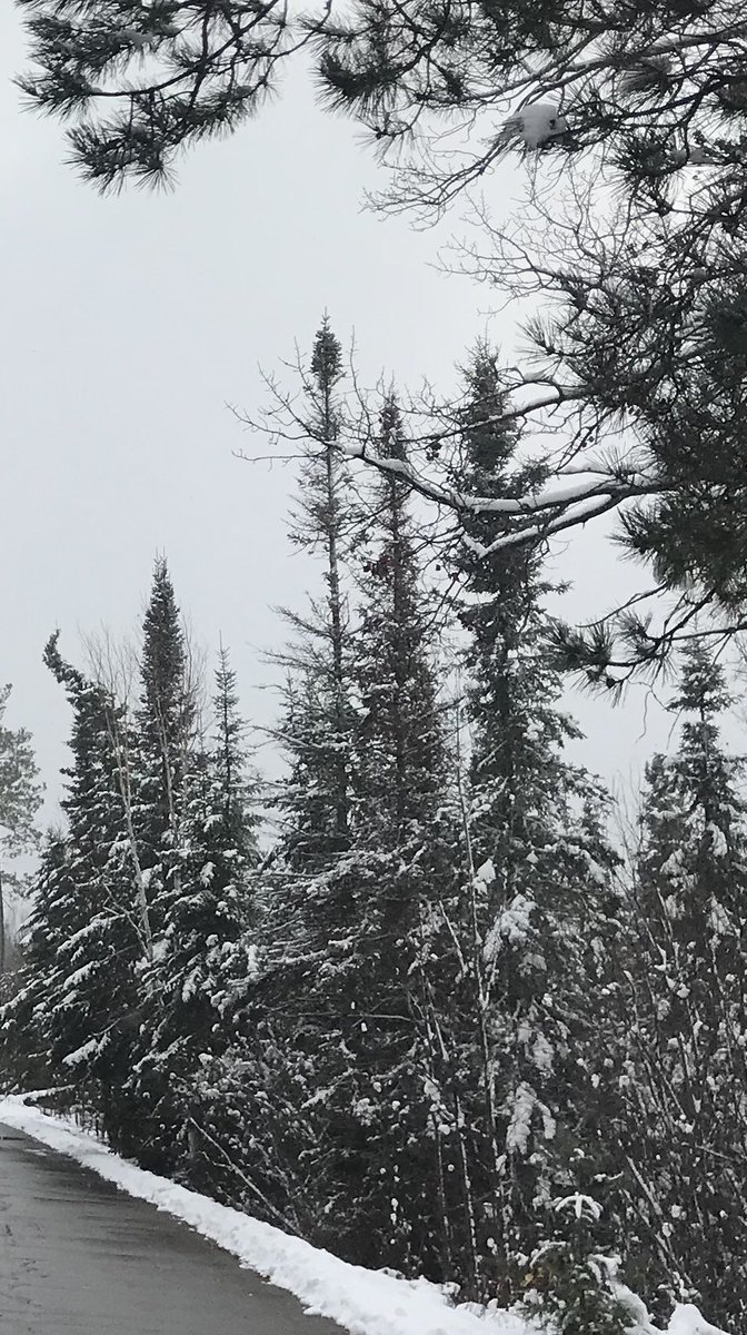 JackAppsEd's tweet photo. Waiting for springtime (compound word!) in Minnesota #buildcompoundwords, #springtime #minnesotawinters #colduphere https://t.co/D6ZxVonNar