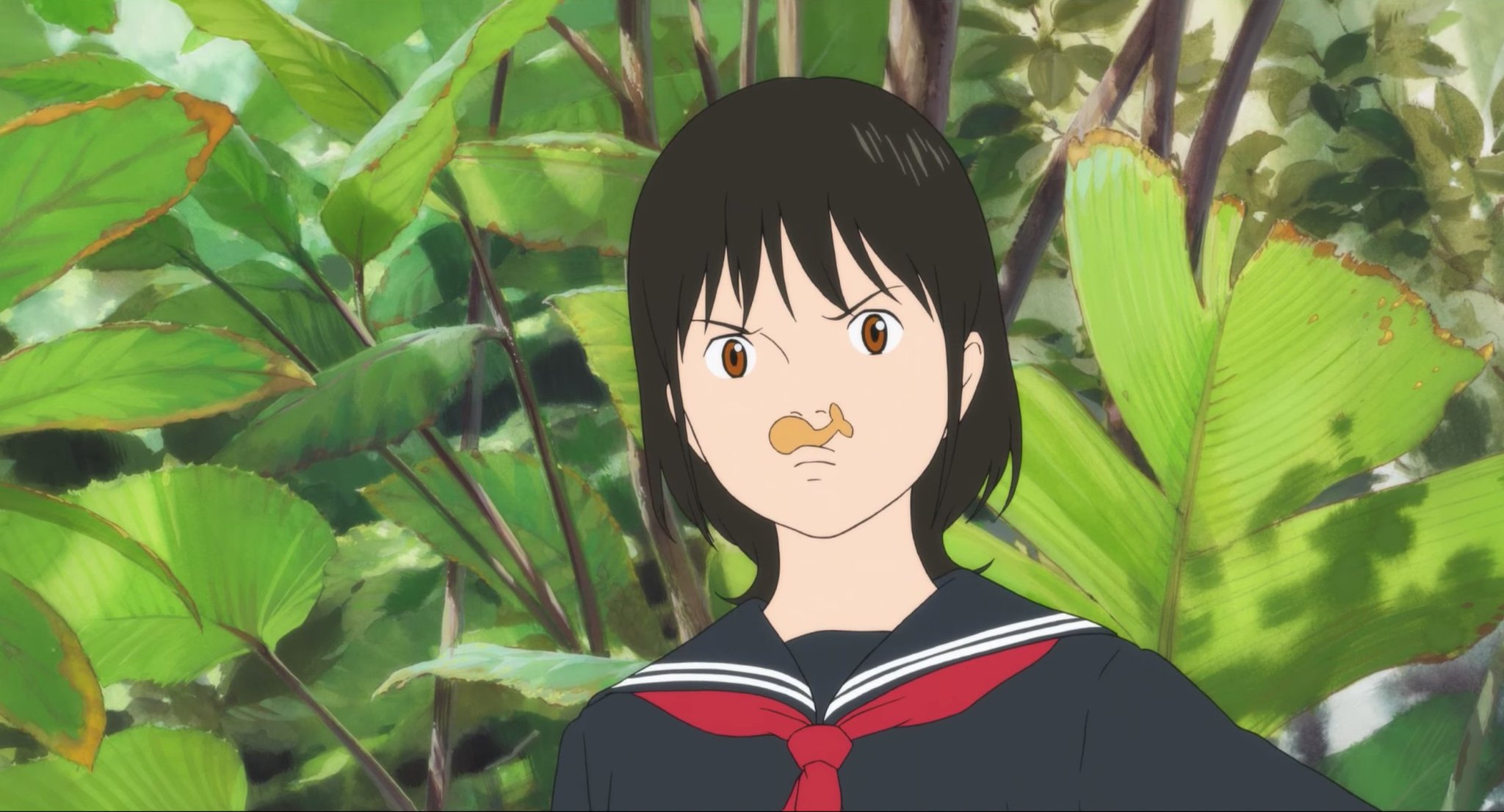 Mamoru Hosoda's TOEI Origins and What Could Have Been – OTAQUEST