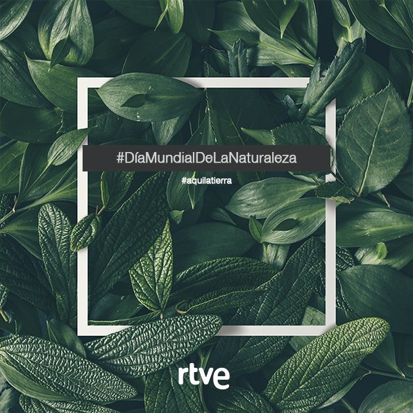 aquilatierratve's tweet photo. Nadie es ambientalista de nacimiento. Es solo tu camino, tu vida, tus viajes, lo que te despierta.-Yann Arthus-Bertrand. #DiaMundialdelaNaturaleza #naturaleza @jacobpetrus_tve https://t.co/6RvRQYGy4C