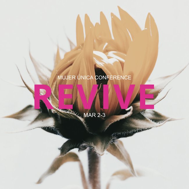 mariamjdelgado's tweet photo. Hoy es el día nuestra conferencia Revive. #mujerunica #revive #alphatucasa #pastoramariam #cristianos #aoworship #MariamDelgado #cristianos @mariamjdelgado #conferencia #fe #instacool #lauracardenes #realtalkkim #pastordelgado https://t.co/bjcw6i32X8