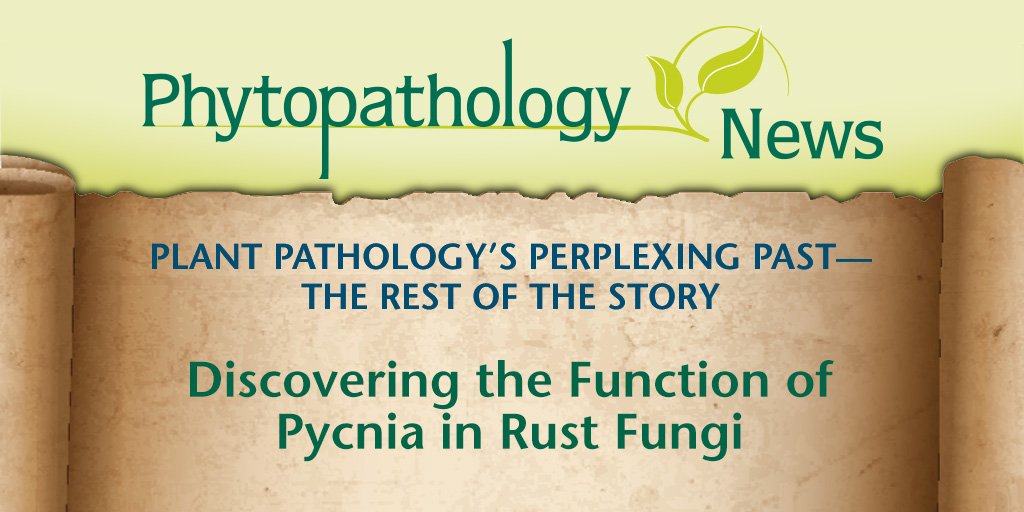 plantdisease's tweet image. The cause of the infamous #PlantDisease #Wheat #StemRust was unknown until the mid-1800s. What’s #TheRestOfTheStory? @UNLincoln&apos;s Robert Harveson recounts the tale of discovery in his latest column in @plantdisease&apos;s #PhytopathologyNews &amp;gt;&amp;gt; ow.ly/JDgE30iEaMY