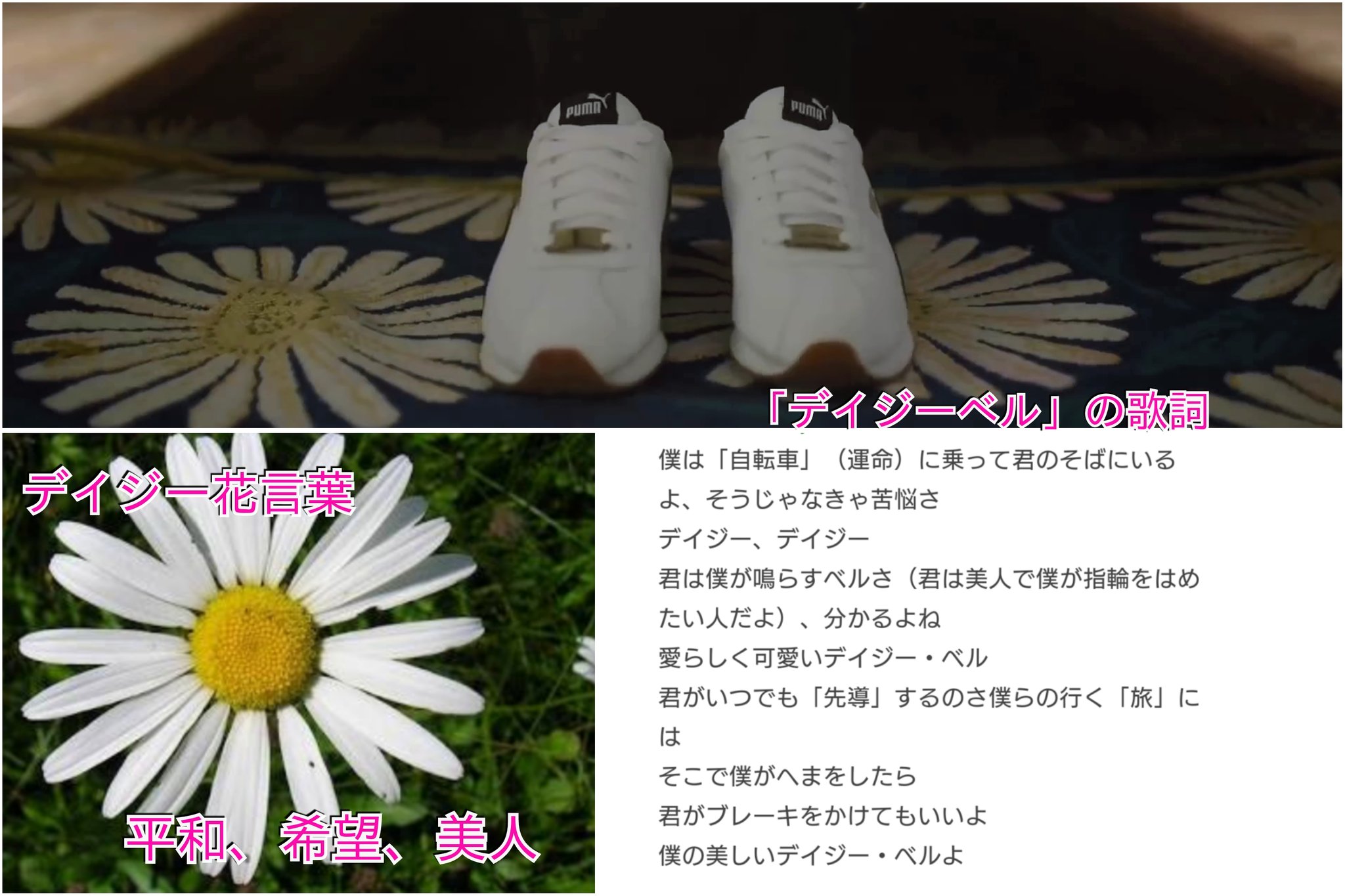 りえっぺ デイジーかな 花名は 太陽の光がさすと花開き金色の花芯を見せることから Day S Eye 日の目 太陽の が語源 花言葉は平和 美人 希望 コンピュータが初めて歌った歌は デイジーベル 映画 01年宇宙の旅 では破壊されるaiが歌う Siri りえっぺ デイジーかな 花名は 太陽の光がさすと花開き金色の花芯を見せることから Day S Eye 日の目 太陽の が語源 花言葉は平和 美人 希望 コンピュータが初めて歌った歌は デイジーベル 映画 01年宇宙の旅 では破壊されるaiが歌う Siri