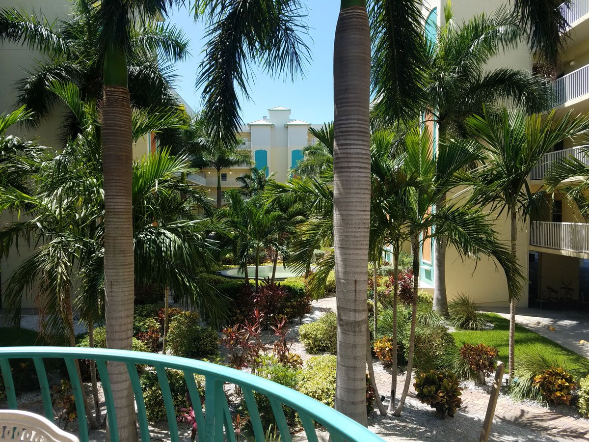 SunsetVistas's tweet photo. Coffee & #courtyardviews - mornings are always better when they start at the #SunsetVistasCafe. https://t.co/Kg4YfI4ps9 https://t.co/bwC4BThWcT