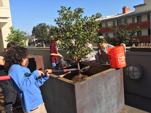 GoodFoodLA's tweet image. Check out these students shoveling compost for a tree planting, learning the power of #healthysoil! In the next weeks, @NetiyaLA will launch a program focused on #foodwaste recovery &amp;amp; #composting for an on-site food garden at their school! #FreetheFood #FreetheFoodFriday