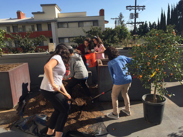 GoodFoodLA's tweet image. Check out these students shoveling compost for a tree planting, learning the power of #healthysoil! In the next weeks, @NetiyaLA will launch a program focused on #foodwaste recovery &amp;amp; #composting for an on-site food garden at their school! #FreetheFood #FreetheFoodFriday