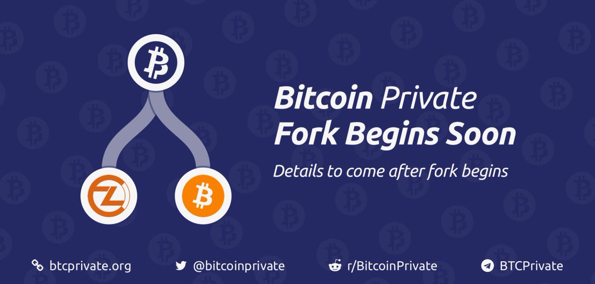 bitcoin private