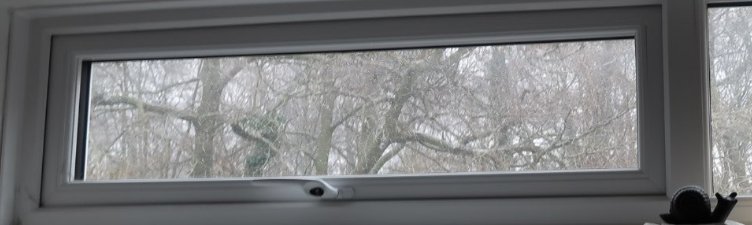AlbertSnail's tweet photo. #sidewindow #window :) 🌨️🌿 https://t.co/ZM75pf2xFE