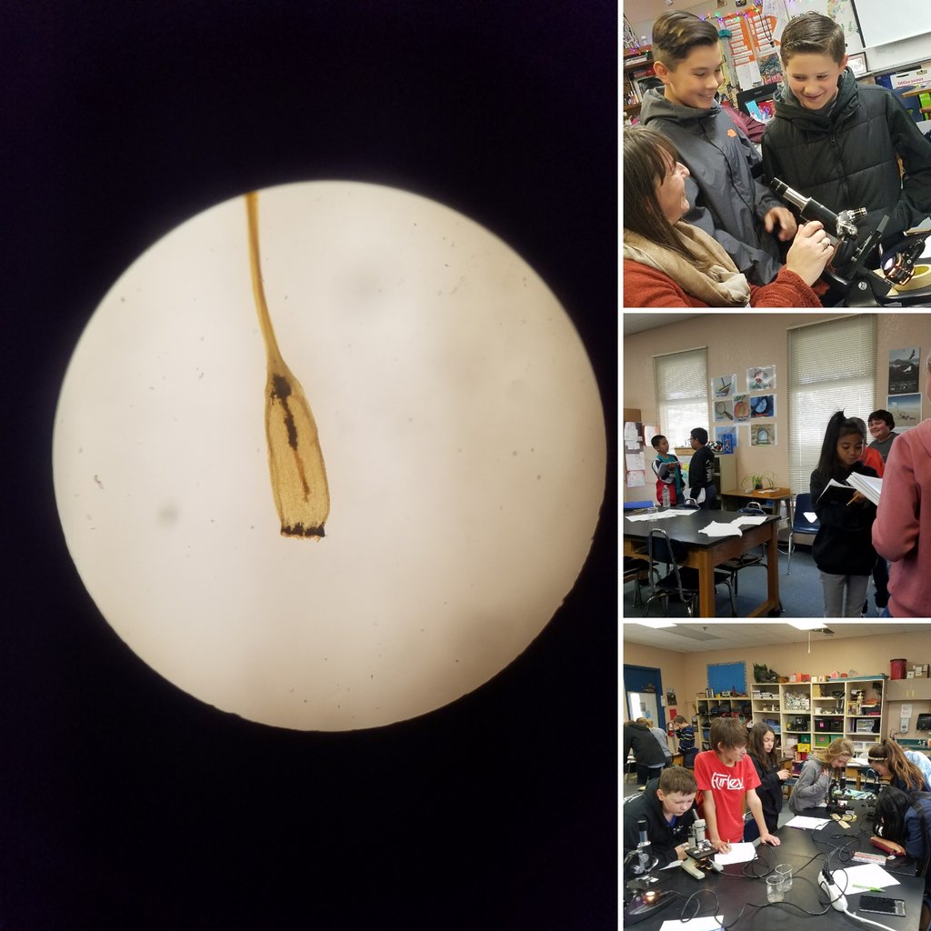 Best. Week. Ever.
Our kids are ready and their curiosity and wonder have been empowering and Inspiring. #NGSS #teambms #Iteach #mystudentswillsavetheworld