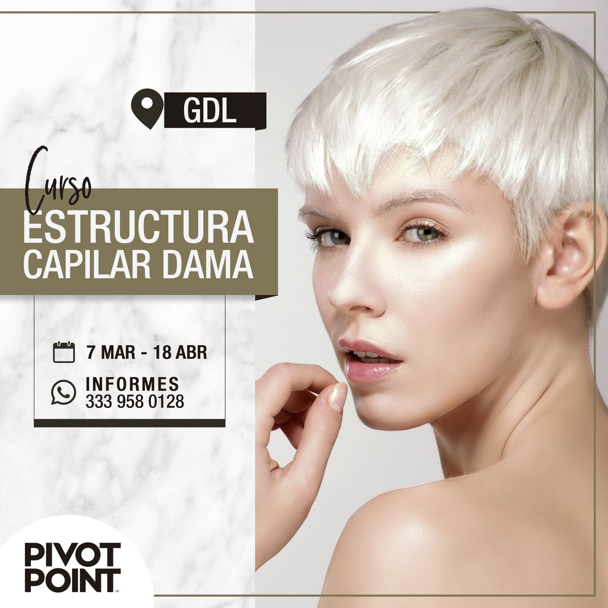 PivotPointMX's tweet photo. CURSO 'ESTRUCTURA CAPILAR DAMA' || GDL
▫ Modalidad: Semi Intensivo.
▫ Fecha: 7 MAR al 18 ABR.
Comunícate con nuestra asesora Angélica Vazquez. 
☎ 333 958 0128
#PivotPointGDL || #PivotPointers || #EmpowerThrougEducation https://t.co/vvUv8Zx30N