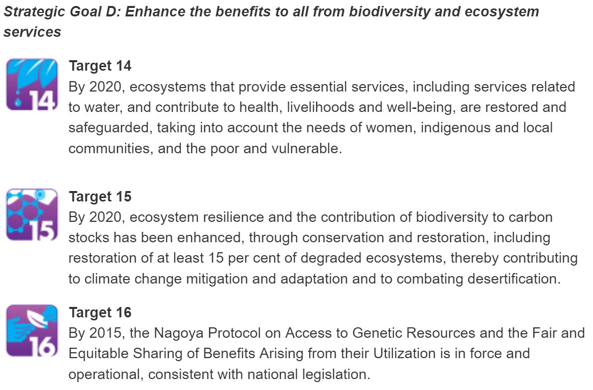 WondyAK's tweet photo. #Ecosystems &amp; #Biodiversity heart of #SustainableDevelopment providing foundation 4 #life on #earth, 4 our #economic activities &amp; support #social structures &amp; #CulturalHeritage! @CristianaPascaP at #RFSD2018 4 #Europe. Implement the 20 "Aichi 2020 Targets" #SDG15 #BeatPollution https://t.co/dRt8eRi3Et