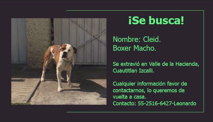 aldu_maria's tweet photo. @MundoPatitas  me ayudan con su valioso RT para localizar a este hermoso 🐕
Gracias de todo ❤️ https://t.co/QK3scAZYZ6