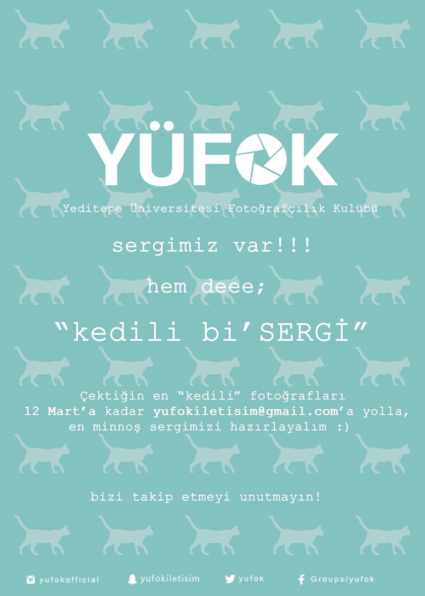Sergimiz var!! 12 Mart'a kadar çektiğin "Kedili" fotoğrafları yufokiletisim@gmail.com a yolla, en minnoş sergimizi hazırlayalım 😻