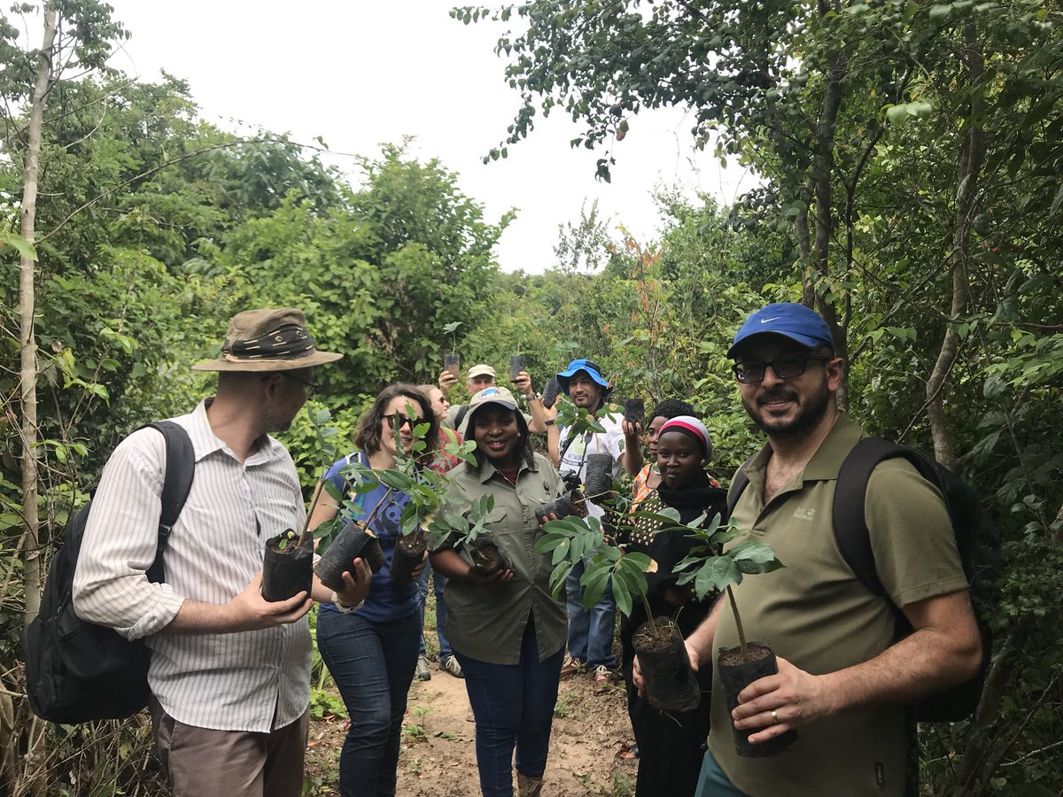 Geofrey Mwanjela tweet media