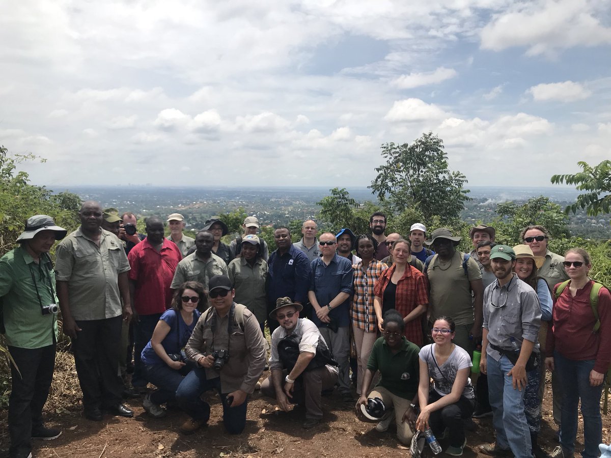 Geofrey Mwanjela tweet media