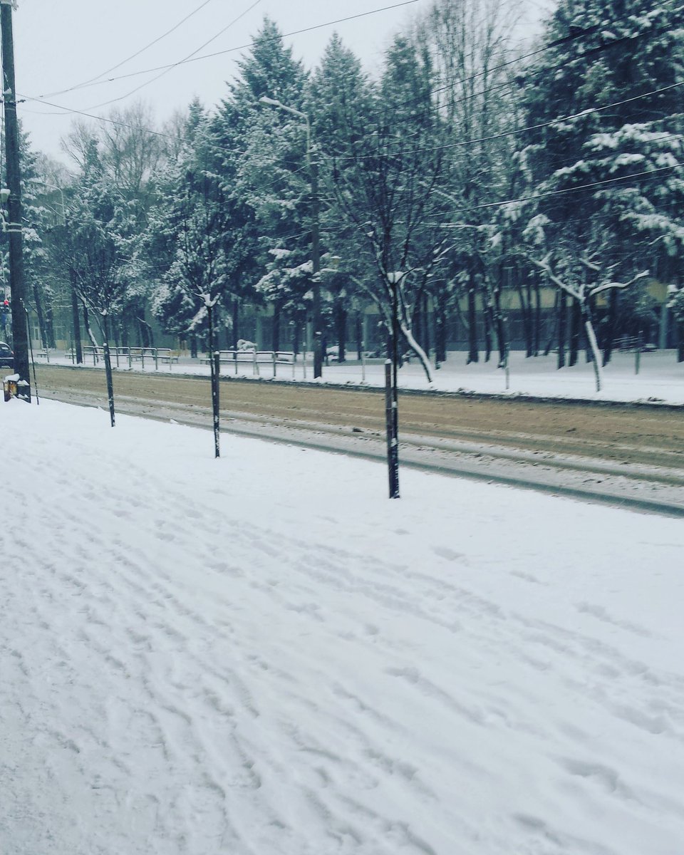 IuliaTrif13's tweet photo. #March2018
#perfectcolor❄
#perfectlandscapeinTimişoara☁
#white&amp;beautiful💧
#perfectafinalofwinter❄🌐 https://t.co/hNPBBSAJWN