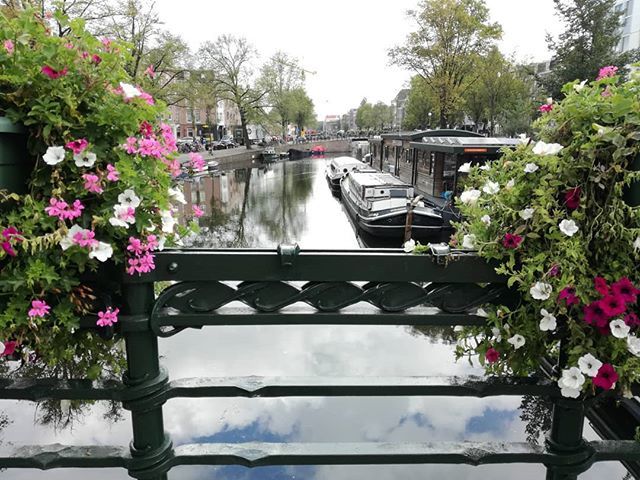 eostories's tweet photo. Endless canals in beautiful Amsterdam.
.
.
.
.
.
 #darlingescapes #girlslovetravel  #travelgirl  #ig_minimalshots#exploretocreate#darlingweekend#darlingmovement#thatsdarling#minimalist#minimalism#thehappynow#persuepretty#postitfortheaesthetic#seeksimplic… https://t.co/ncIdxA7d0Y https://t.co/ndr349GnfP