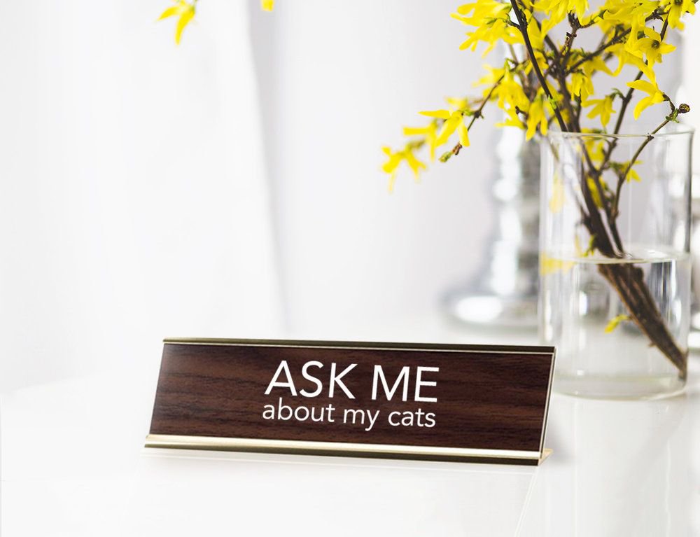 The purrrfect addition to your office

buff.ly/2FcMwxA