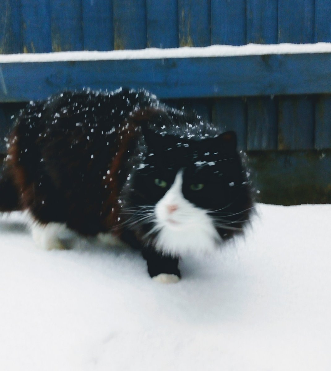 What the balls is this shit? I demand that it be removed NOW.