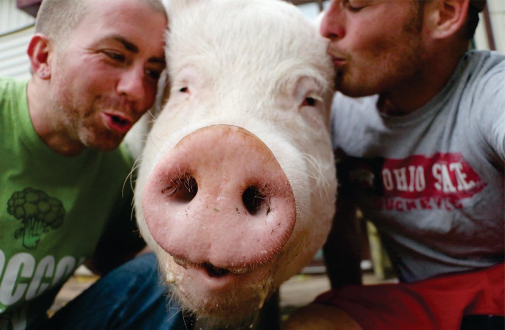 “Unless someone like you cares a whole awful lot, nothing is going to get better. It's not.” -Dr. Seuss. #KindnessIsMagic #BeKindToAnimals #EatFigsNotPigs.