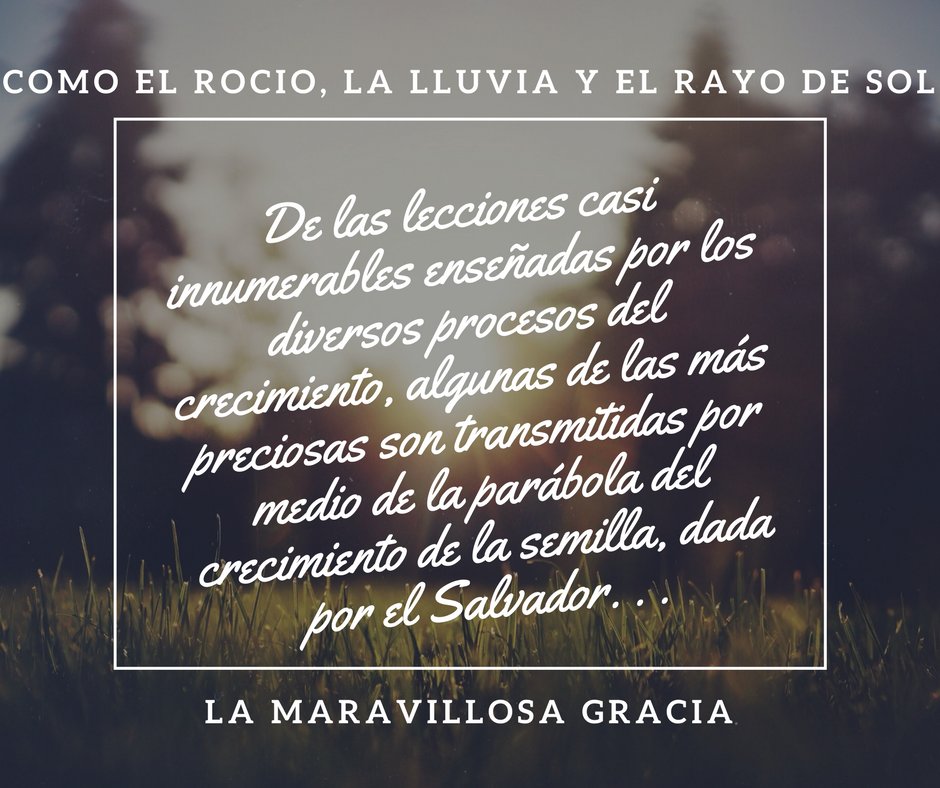 PCMIbague's tweet photo. Yo seré a Israel como rocío; él florecerá como lirio, y extenderá sus raíces como el Líbano. (Ose. 14: 5). https://t.co/NsuMubxsE2