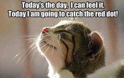 varestecom's tweet image. #FridayFeeling 🎩