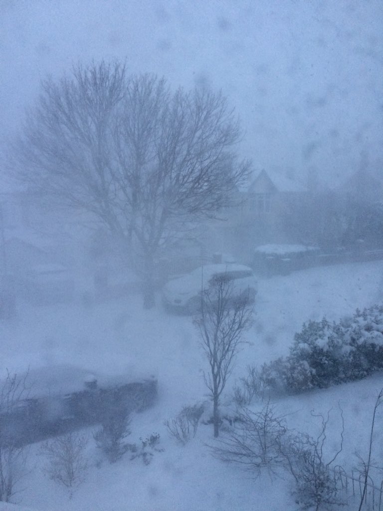 HomesVKeen's tweet photo. What a week! I mocked ‘the beast’ on Monday night then woke up to this!! Resulting in a week of cabin fever. Thank goodness for @HomesEngland fantastic Digital Services crew for keeping us all going remotely. #We’vegotcabinfever! #virtualcolleagues https://t.co/CueJmG0TZ1
