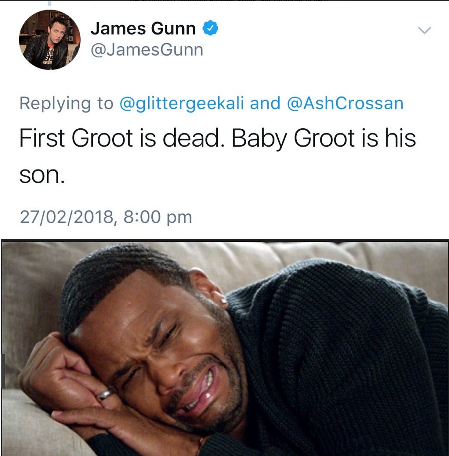 power97wpg's tweet photo. Why you gotta do this to us, @JamesGunn? #RIPGroot - @MeredithGeddes https://t.co/Cm657zzcdI