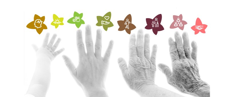 adipertecuida's tweet photo. Comunidad en #facebook con el objetivo de debatir entre los miembros y aportar conocimiento e ideas para una mejor relación intergeneracional. #SilverPlanet. Familia Amigable, Sociedad Amigable: https://t.co/MnNV7N0CZz #intergeneraciones #inclusión https://t.co/SQhBToJup8