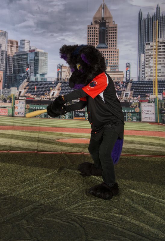 Kmetalwolf59's tweet photo. #SpringTraining is back! #LetsGoOs #Birdland #KeepMannyInBaltimore #MannyMagic #FursuitFriday https://t.co/YPpUv60AX8