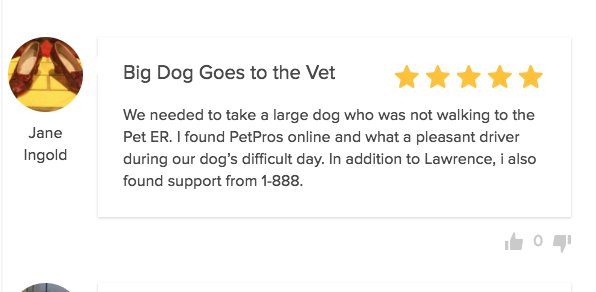 petprosservices's tweet photo. Us big dogs roll together. Thanks for the kind words Jane!
#petpros #bigdogs #petcare #pethealth #pettransport #pettaxi https://t.co/usMhRz3U7l