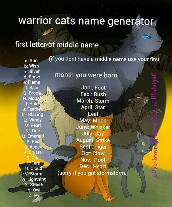 Warrior Cat name generator