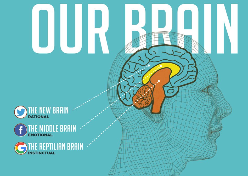 GamalielBaer's tweet image. #WorldBrain #USArtificialIntelligence
#AI 
#DigitalTransformation 
#Evolution 
$twtr
$fb
$goog