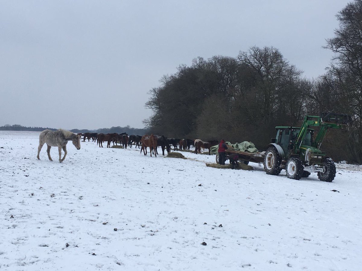 EdgeworthPolo's tweet photo. We've had just a light dusting up at the club today... #CotswoldsortheTundra #BeastFromTheEast https://t.co/wdt1KSqbZy