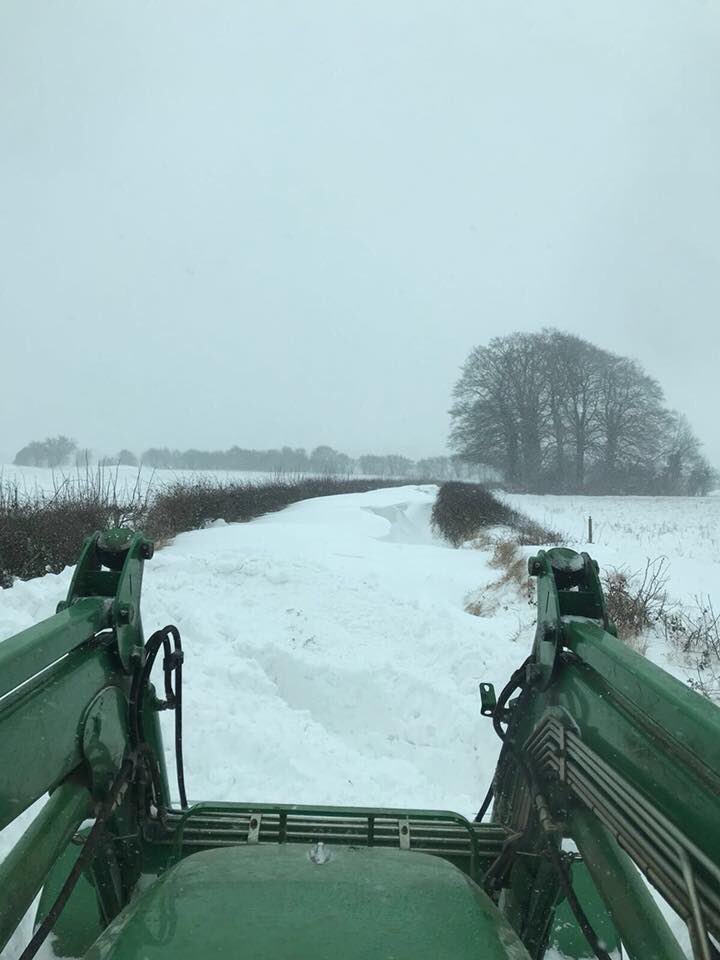 EdgeworthPolo's tweet photo. We've had just a light dusting up at the club today... #CotswoldsortheTundra #BeastFromTheEast https://t.co/wdt1KSqbZy