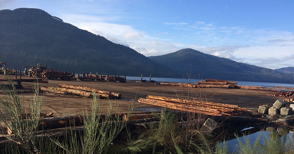 EricssonEnt's tweet photo. SUCCESS STORY — Iotatel Inc. provides reliable network connectivity solution for forestry camps in Canada. https://t.co/EAHgNvgFRy #BranchNetworks #4GLTENetworking #4GLTE https://t.co/dqAF92n284