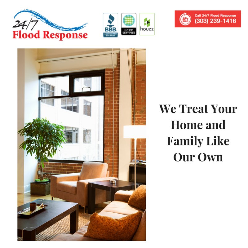 24FloodResponse's tweet photo. "Since 2003, we have been keeping the people of Denver and the Front Range area healthy and happy in their homes.
We understand mold, especially how it can spread and its health risks. We wouldn’t want it for our family and we do not want it for yours. https://t.co/JC96bI1eOv