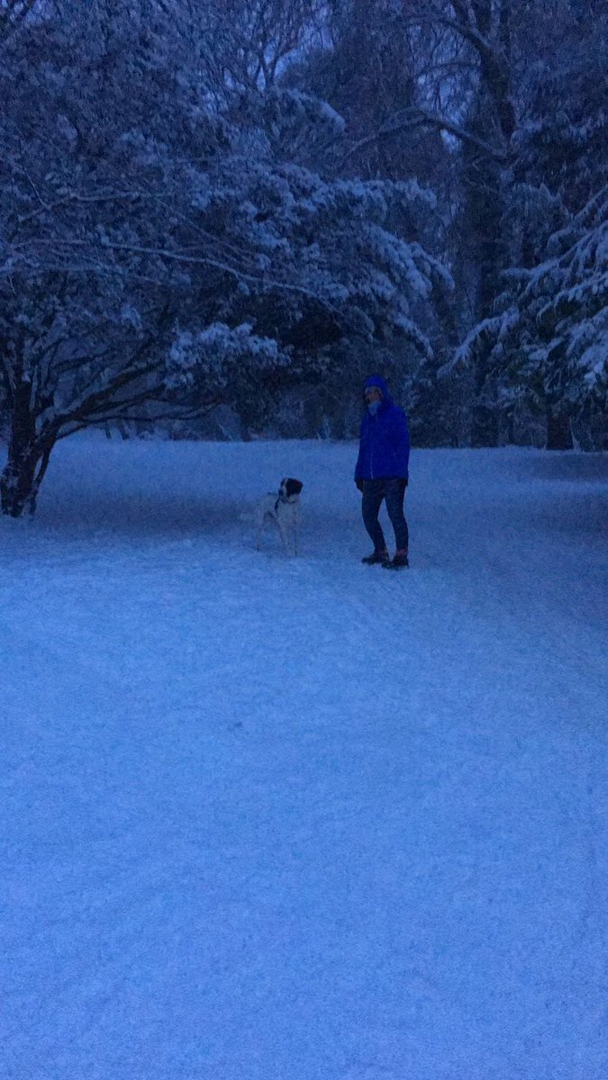 adrwhite tweet picture