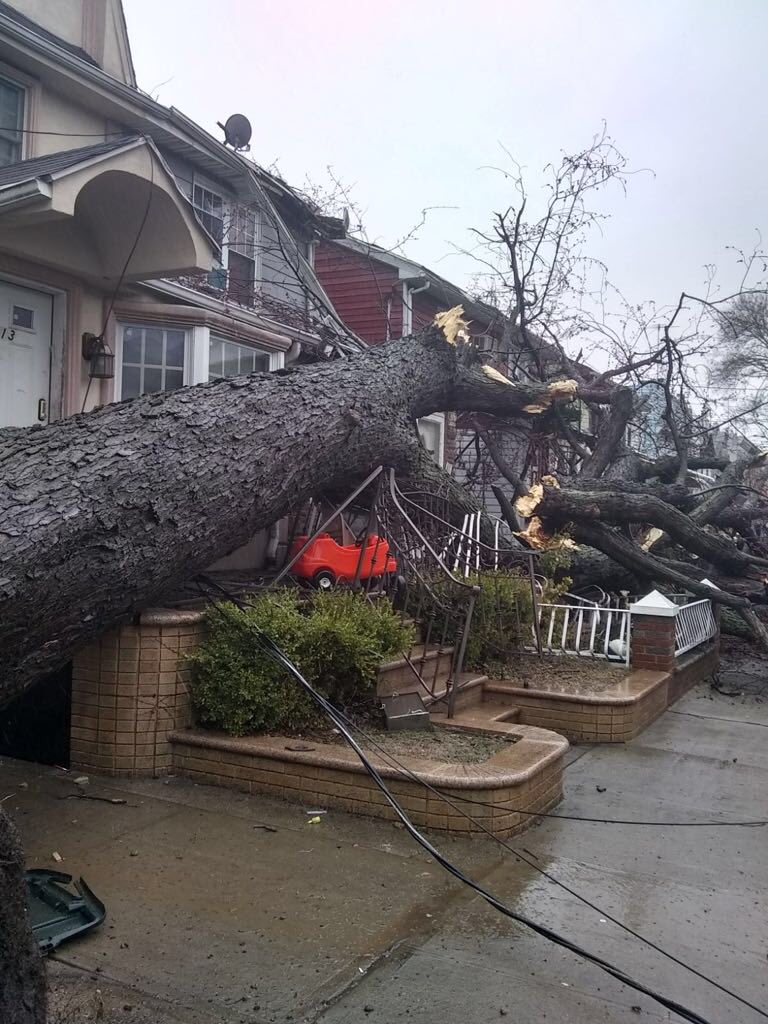 CSESpecialOps's tweet photo. Please be careful while standing outside, heavy winds, trees, poles, and electric wires are not safe now, see something call 911 https://t.co/3wQydQsnGA