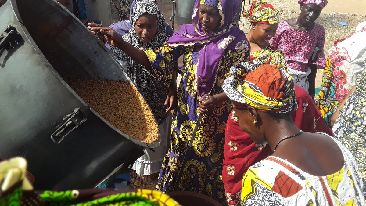 FoscarMali's tweet photo. Les nouveaux kitriz permettront aux etuveuses u Mali d'accélérer le cicle de la production et d'améliorer leurs revenus. https://t.co/rA0hAuahvi