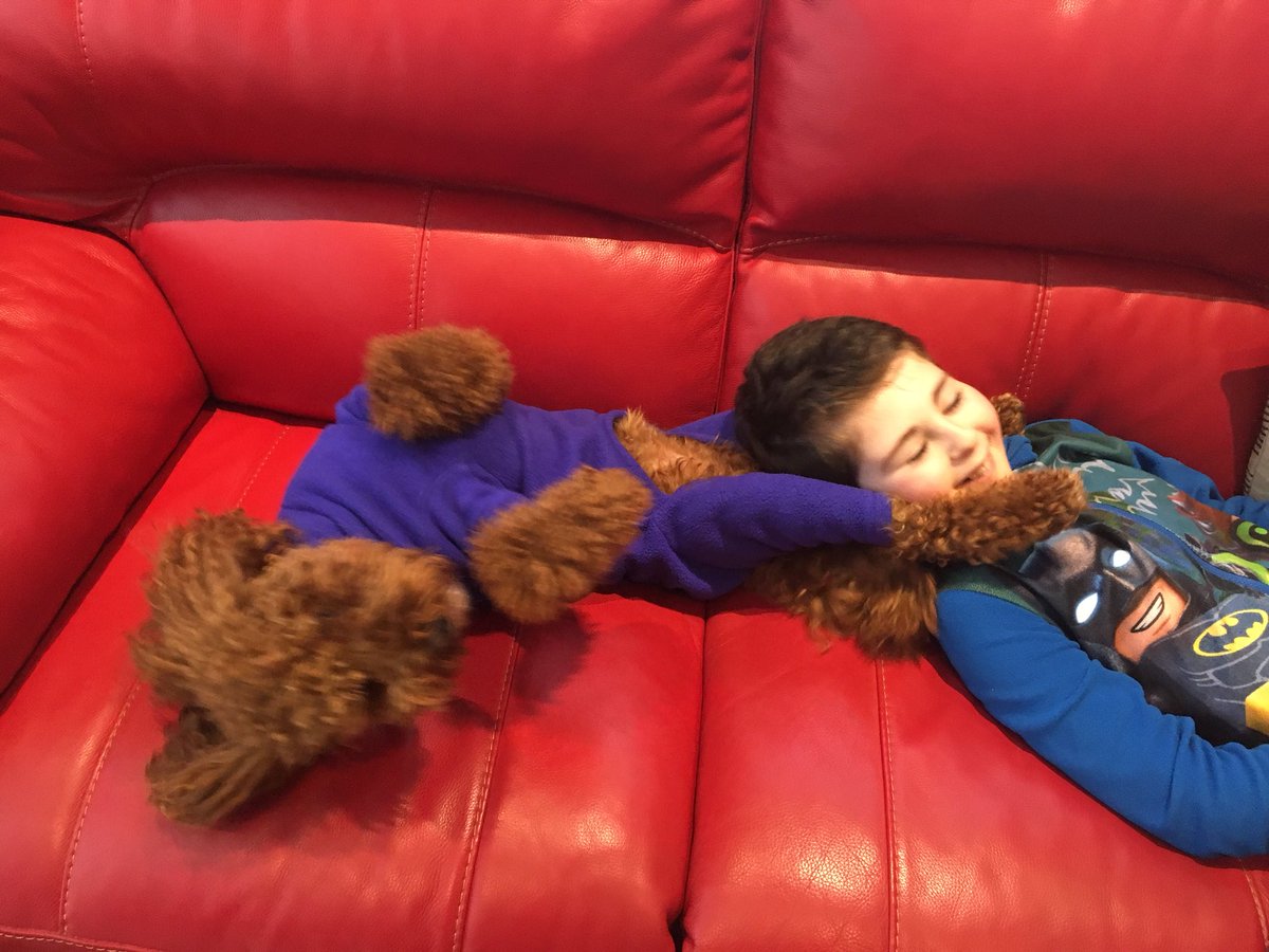 RossoCockapoo's tweet photo. Loving my #SnowDay sofa #snuggles with my #BigBrother @BladeBoyRio in our colour-coordinated #onesies! My lovely @equafleece has been keeping me warm and dry in the #snow! #RioandRosso #RossoCockapoo #Cockapoo #CuteDog #BoysBestFriend #DogsOfTwitter #Equafleece #CosyDog❄️🐶👦🏻 https://t.co/sip2g6Zezy