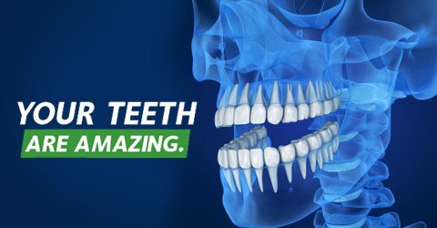 AmerDentalAssn's tweet photo. 5 reasons your smile is stronger than you think: https://t.co/9zWO0EQgOX https://t.co/cJSJSUwPdy