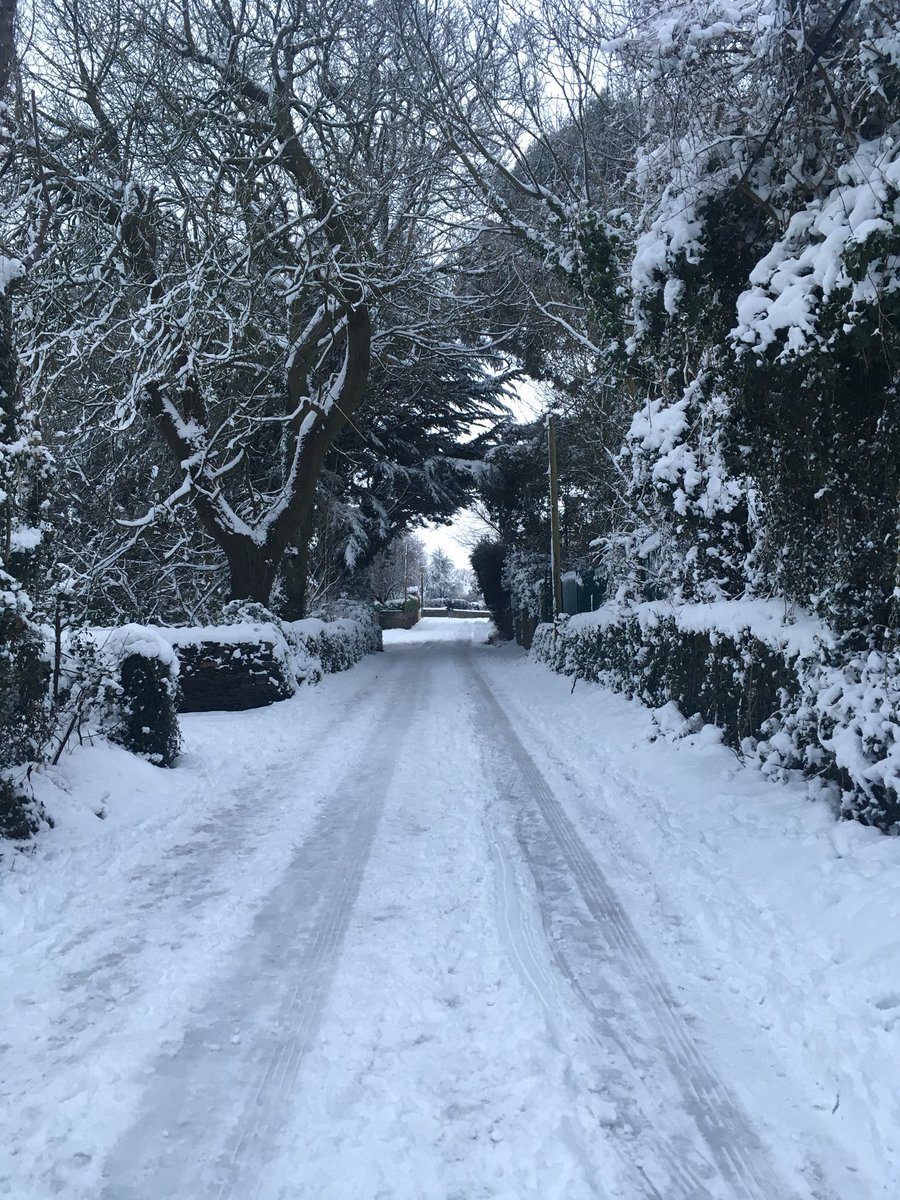 David Lapthorne tweet media